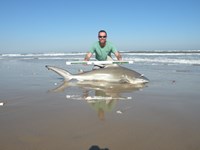 CatchSharks - Steven Kennedy