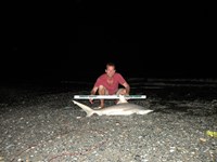 CatchSharks - Steven Kennedy