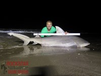 Team Rockstar - Eric Ozolins