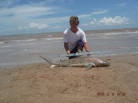 Team Southern Sharkers - Nick Johnson