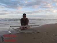 Team Rockstar - Brad Tabor