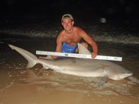 Sharkaholics - Zach Crain