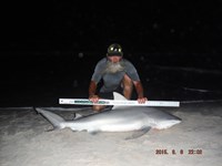 Team Southern Sharkers - David Tidwell