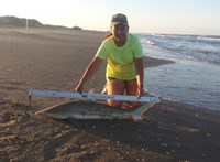 Southern Shark  Outcasts  - Cristina  Garza 