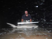 Team Southern Sharkers - Donnie Tidwell