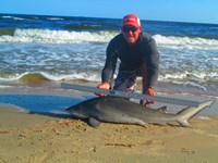 Keep It Reel - Ron Richmond