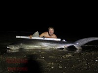 Team Rockstar - Eric Ozolins