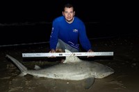 Fishing Locos - Gilbert Gutierrez 