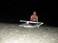 CatchSharks - Steven Kennedy