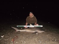 CatchSharks - Matt Hyde