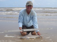 Sharkaholics - David Crain