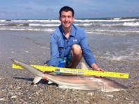 Sharkaholics - Zach Crain