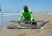 Southern Shark  Outcasts  - Jesse Garza