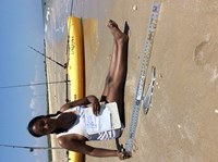 Sharknado - Annie  Green