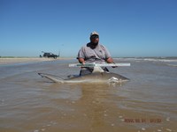 Team Southern Sharkers - Eduardo Mejia