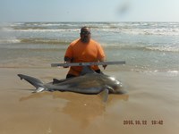 Team Southern Sharkers - Eduardo Mejia