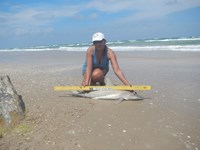 Tactical Anglers Group  - Silver  Alamo