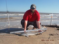 Team Southern Sharkers - Donnie Tidwell