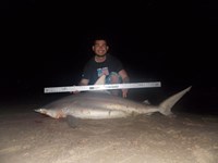 Keep It Reel - Joe  Garcia