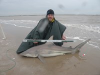 CatchSharks - Matt Hyde