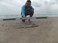 Keep It Reel - Joe  Garcia