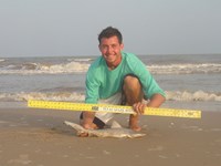 Sharkaholics - Zach Crain