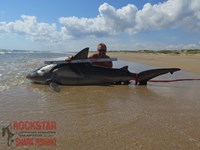 Team Rockstar - Eric Ozolins