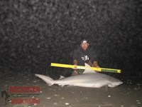 Team Rockstar - James Clark