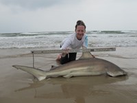 Team Sharkathon - Bethany Lyn