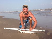 Sharkaholics - Zach Crain