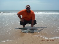Team Southern Sharkers - Donnie Tidwell