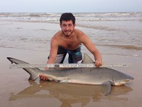 Sharkaholics - Zach Crain