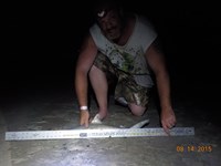 Bolivar Bums - Bryan Arhens