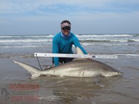 Team Rockstar - Brad Tabor