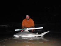 Team Southern Sharkers - Donnie Tidwell
