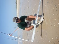 Team JackWagon II - Tim McKneely