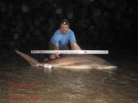 Team Rockstar - Brad Tabor