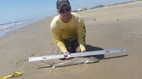 TEXAS SURF FISHING - DEREK SMITH