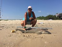 Team JackWagon - Kimberly Collier
