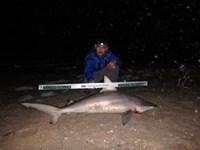 Keep It Reel - Joe  Garcia