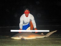 Keep It Reel - Ron Richmond