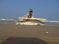 Team Rockstar - Dani Zirkel