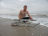 CatchSharks - Matt Hyde