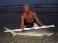 Sharkaholics - David Crain