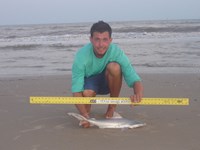 Sharkaholics - Zach Crain