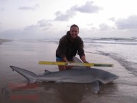 Team Rockstar - Dani Zirkel