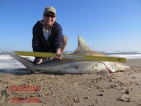 Team Rockstar - Scott Nelson