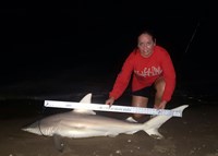 Southern Shark  Outcasts  - Cristina  Garza 