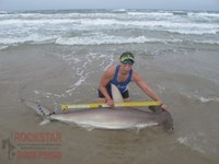 Team Rockstar - Dani Zirkel