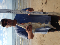 Bolivar Bums - Johnny Makuaole